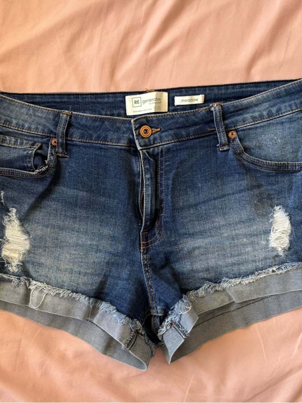 Celebrity Pink Denim Shorts